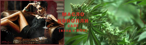 гидра Надым
