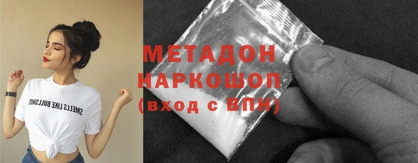 гидра Надым