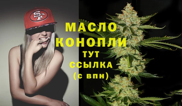 гидра Надым