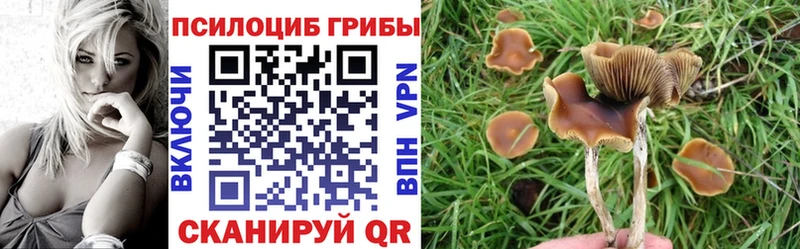 Псилоцибиновые грибы мицелий цена наркотик Нижневартовск