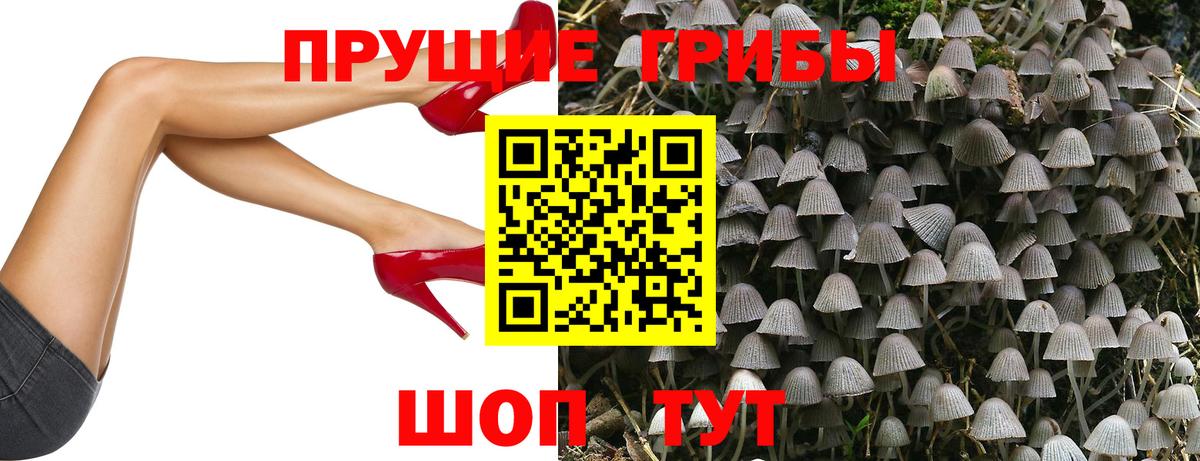 где найти   Вход с VPN  Нижневартовск  Псилоцибиновые грибы мицелий 